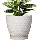 G EPGardening 6 Inch Ceramic Plant Pot with Drainage Hole and Saucer Round Planter Decorative Flower Plant Pot for Indoor Plants Outdoor White by CozyNest Decor
