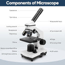 Microscope for Adults Kids, Dcorn 100X-2000X Powerful Biological Microscopes for School, Home, and Lab Use, Includes Microscope Slides Set and Phone Adapter. by TinyTreasures Baby Boutique