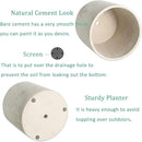 Plant Pots - 6.7 inch Cement Planters Indoor - Modern Grey Flower Pot with Drainage Hole - Home Office Decor by GreenHaven Gardens