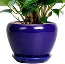 6 Inch Plant Pot - Ceramic Pots for Plants Succulent Pot with Drainage Hole and Saucer Round Planter Outdoor Flower Pot for Herb Snake Plants Blue by GreenHaven Gardens