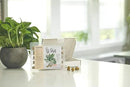 Osmocote PotShots: Premeasured House Plant Food, Feed for up to 6 Months, 25 Nuggets by GreenHaven Gardens