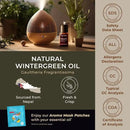 Gya Labs Wintergreen Essential Oil for Diffuser - 0.34 Fl Oz - 100% Pure Natural Wintergreen Oil for Skin, Hair, Massage & Candle Making Scent by CozyNest Decor