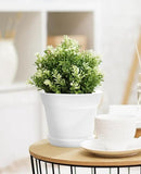 Homenote Pots for Plants, 8 Pcs 7.5 Inch Plastic Planters with Multiple Drainage Holes and Tray - Plant Pots for All Home Garden Flowers Succulents, Cream White by GreenHaven Gardens