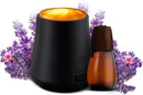 Air Wick Essential Mist Starter Kit, Diffuser + 1 Refill, Lavender and Almond Blossom, Air Freshener, Essential Oils by CozyNest Decor