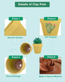 vensovo 48 Pcs 2" Tiny Terracotta & Terra Cotta Pots with Drainage - Yellow Small Mini Clay Ceramic Pottery Planter Ideal for Indoor/Outdoor Plants, Crafts, Wedding Favors by GreenHaven Gardens