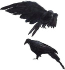 2-Pack Realistic Crows Lifesize Extra Large Handmade Black Feathered Crow for Halloween Decorations Birds, L (13 inch+12 inch) by GreenHaven Gardens