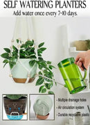 Self Watering Hanging Planters for Indoor Plants 3 Pack Macrame Plant Hangers with Drainage Holes Pots and Hooks for Home Garden Decor Green by GreenHaven Gardens