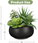 Fake Plants Artificial Succulents in Pots Faux Succulent Arrangement Potted Plant with Black Ceramic Pot for Home Decor Modern Office Desk Bathroom Shelf Living Room Indoor & Outdoor Decoration by GreenHaven Gardens