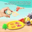 Baby Fruit Food Feeder - Silicone Nibble Tray Combo - Breastmilk Popsicle Mold for Cooling Relief, BPA Free Mesh Feeder for Infant Self Feeding (Robot Green + Pineapple) by TinyTreasures Baby Boutique