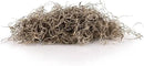 Premium Natural Spanish Moss | Natural Preserved - 10 Quart - Great Ground Cover - Filler for Potted Plants (2 Bags of 5 Quart) by GreenHaven Gardens