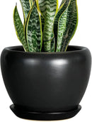 Ceramic Planter Pot - 8 Inch Plant Pot with Drainage Hole and Saucer Round Planter for Indoor Plants Modern Outdoor Flower Pot for House Balcony Black by GreenHaven Gardens
