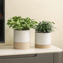 Nihow Ceramic Plant Pot: 6 Inch Planter with Drainage Hole & Saucer for Indoor & Outdoor Plants - Cylinder Round Flower Pot for Succulent/Herbs/Violets - White & Brown by CozyNest Decor