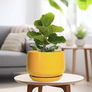 G EPGardening Ceramic Flower Pot - 9 Inch Plant Pots for Indoor Outdoor Plants, Round Ceramic Planter with Drainage and Plant Saucer, Modern Planter, Home Office Decor, Garden Gifts, Yellow by GreenHaven Gardens