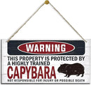 Warning Sign, Capybara Warning Wood Plaque Sign, Funny Door Signs, Decorative Wood Hanging Suspension Plaque, Farmhouse Wooden Wall Decor, Outdoor Hanging Wooden Signs by CozyNest Decor