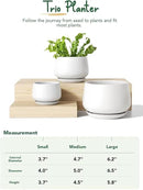 LE TAUCI Ceramic Plant Pots, 4.1+5.1+6.5 inch, Set of 3, Planters with Drainage Hole and Saucer, Indoor Flower Pot with Hole Mesh Pad, Gifts for Mom, White by GreenHaven Gardens
