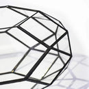 Ferrisland Handmade 10" Large Glass Terrarium Irregular Geometric Planter Indoor Air Plants Holder Window Balcony Display Succulent Flower Pot, Black by GreenHaven Gardens