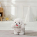 Electronic Walking Poodle Stuffed Dog Toy, Realistic Interactive Puppy Pet Dog, Walking, Barking,Wagging Tail & Talking,Present Pet Gifts for 3+ Year Boys Girls by TinyTreasures Baby Boutique