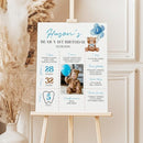 Generic Personalized Beary First Birthday Milestone Poster, Teddy Bear Photo Milestone Sign, Boho Bear Blue Party Stats Board, Design 06 by TinyTreasures Baby Boutique