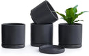 D'vine Dev Set of 4 Small Ceramic Plant Pots, 4.6 Inch Succulent Planter Pot for Plants with Drainage Hole and Saucer, Black, 94-X-B-2 by GreenHaven Gardens
