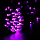 Brizled Purple Christmas Lights, 2 Pack 33ft 100 LED Christmas String Lights, 120V UL Certified Purple Halloween Light Connectable Mini Xmas Tree Light Outdoor for Halloween Xmas Party Wedding Holiday by TinyTreasures Baby Boutique