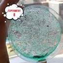 Einstein’s Crystal Craze LAB Science Kit for Kids. 18 Science Experiments Inside STEM for Boys & Girls Aged 10 and Above. Detailed Picture Guide Included. by TinyTreasures Baby Boutique
