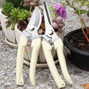 BUGUI Garden Shears Set of 2, Includes 1 Bypass Pruning Shears and 1 Straight Blade Garden Scissors, Sharp, Lightweight by GreenHaven Gardens