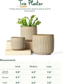 LE TAUCI Ceramic Planters, 8.3+6.9+5.7 Inch Plant Pots for Indoor Plants, Set of 3 Flower Pots with Drainage Holes, Round Planters Pot for Indoor House Plants, Reactive Glaze Cloud Cream by GreenHaven Gardens