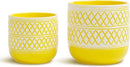 Ceramic Plant Pots, 6 + 4.7 inch Yellow Plant Pot, Flower Pots for Indoor Plants， Planter with Drainage Hole for Succulent Orchid Snake Plants Cactus by GreenHaven Gardens