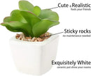 Hollyone Succulents Plants Artificial 4Pcs Small Fake Succulents in Pots Faux Plastic Potted Plants with White Ceramic Pot for Home Decor Office Desk Bathroom Shelf Indoor & Outdoor Decoration by GreenHaven Gardens