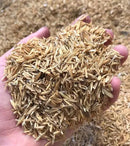 Boost Your Garden's Sustainability with Gardenera Horticultural Grade Rice Hulls - Enhance Soil Structure and Microbial Activity - 4 QUARTS by GreenHaven Gardens