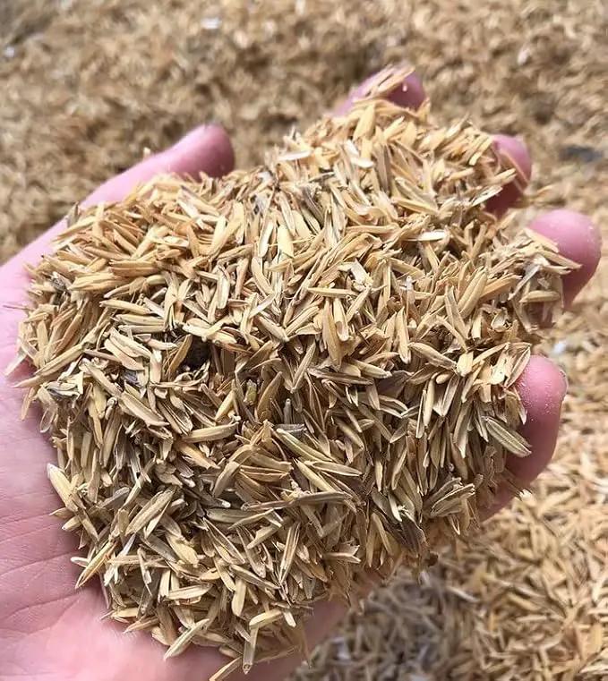Rice Hulls for Potting Applications - Promote Root Development, Water Efficiency, and Disease Resistance - 5 QUARTS, photo 2 of 4