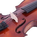 Ktaxon Violin 4/4 for Kids & Adults, Full Size Solid Wood Violin, Acoustic Fiddle with Portable Case and Accessories-Carefully Selected Solid Spruce Wood and Premium Ebony Fittings(Varnish) by TinyTreasures Baby Boutique