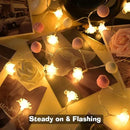9.85Ft String Lights 20 Cute Pink Pompoms 20 LEDs Rose Fairy Lights Garland Battey Operated with Timer Flower Lights for Bedroom Kids Room Party Birthday Wedding Valentines Decorations by CozyNest Decor