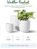 LE TAUCI 6+8+10 Inch Ceramic Pots for Plants, Plant Pots Indoor with Drainage Hole and Plug, Planter Pots for Home Office Room Patio, Set of 3, White by GreenHaven Gardens