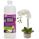 Premium Liquid PHALAENOPSIS Orchid Plant Fertilizer - 3-1-2 Concentrate for Indoor Plants and Flowers by Gardenera | Organic Plant Food for Pothos Plants - 32oz by GreenHaven Gardens