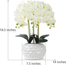 Orchid Artificial Flowers with White Vase Large Silk Faux Phalaenopsis Flowers for Dining Room Table Floral Centerpieces Indoor Decoration,White by CozyNest Decor