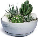 G EPGardening 10Inch Large Planter Pot Marble Pattern Ceramic Succulent Planter Big Plant Pot Succulents Container Flower Pot Indoor Outdoor Decor by GreenHaven Gardens