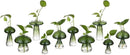 Glasseam Mushroom Plant Propagation Stations: Green Glass Terrarium Jar Set of 10 Cute Planters for Indoor Plants Mini Propagate Station Unique Christmas Birthday Gifts for Women Home Office Decor by GreenHaven Gardens