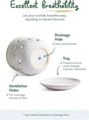 LE TAUCI Ceramic Orchid Pot, 6.5 Inch Orchid Pots with Holes, Orchid Planter for Repotting, Indoor Flower Plant Pot with Drainage and Saucer, Arctic White by GreenHaven Gardens
