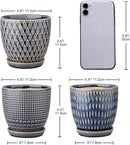 Oairse 4 inches Ceramic Planter Pots 3 Set of Small Round Flower Pots with Drainage Hole and Ceramic Tray for Succulents Cactus Indoor Outdoor Garden Home Windowsill by GreenHaven Gardens