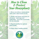 Leaf Armor Spray for Houseplants – Protects Against Fungal Leaf Spots, Bacteria, Pathogens & Yellowing | Gentle & Natural Phosphite Formula | Ready-to-Use | Made in USA – 8 oz by GreenHaven Gardens