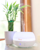 Crane Portable Ultrasonic Travel Humidifier and Diffuser, 0.2 Gallon Cool Mist, Optional Essential Oil Diffuser, No Filter Needed, White by TinyTreasures Baby Boutique