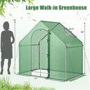 71x40x66 Walk-in Mini Greenhouse Kit for Outdoors with Durable Greenhouse Plastic Cover, 4-Tier Small Green Houses for Outside Gardening & Plant Protection, Portable Indoor Green House by GreenHaven Gardens