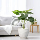 G EPGardening 8 Inch Plant Pot for Indoor Outdoor Plants Round Ceramic Planter Pot with Drainage Hole and Saucer Modern Large Flower Pot White