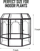 Large Glass Terrarium Handmade, Centerpiece Display Box Gift Planter Containers Indoor Terrariums House for Succulent Cacti Air Plants Miniature Fairy Garden by CozyNest Decor