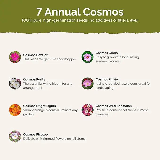 Eden Brothers Crazy for Cosmos Flower Mixed Seeds for Planting, 50 lb, 24,000,000+ Seeds with Cosmos Gloria, Pinkie, Purity, Attracts Pollinators, Plant in Spring or Fall, Zone 3, 4, 5, 6, 7, 8, 9, 10, photo 3 of 6