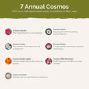 Eden Brothers Crazy for Cosmos Flower Mixed Seeds for Planting, 10 lb, 4,800,000+ Seeds with Cosmos Gloria, Pinkie, Purity, Attracts Pollinators, Plant in Spring or Fall, Zones 3, 4, 5, 6, 7, 8, 9, 10 by GreenHaven Gardens