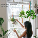 Rainbow Macrame Plant Hangers Indoor Outdoor, 3 Pack Different Size Flower Pot Holder Hanging Plant Holder for Windows Garden Boho Home Decor by GreenHaven Gardens