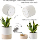 Nihow Self Watering Plant Pot: 6 Inch Ceramic Planter with Drainage Hole & Water Storage Plus for Indoor & Outdoor Plants - Cylinder Round Flower Pot for Succulent/Herbs/Violets - White & Brown by GreenHaven Gardens