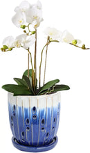 vensovo 6 Inch Ceramic Orchid Pot - Orchid Pot with Holes for Repotting, Ceramic Planter with Saucer for Indoor/Outdoor Plants, Blue by GreenHaven Gardens